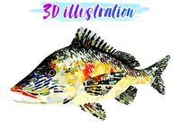 Low Poly White Grunt Fish Illustration Animated - Game Ready