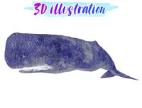 Low Poly Sperm Whale Illustration Animted - Game Ready