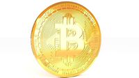 Bitcoin Realistic Detailed