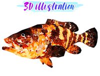 Low Poly Goliath Grouper Illustration Animated - Game Ready