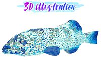 Low Poly Coral Grouper Fish illustration Animated - Game Ready