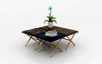ENZA HOME  Elegante Coffee Table 3D Model