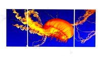 Triptych Wall Art Pacific Sea Nettle Jellyfish