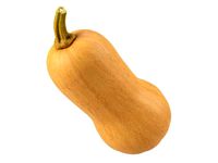 Photorealistic Butternut Squash 3D Scan