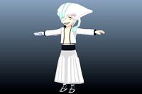 Di Roy Bleach 3D Anime Character