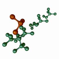 Multiple Molecules