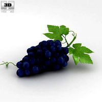 Grapes