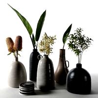 Vases with Plants