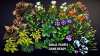 Small plants
