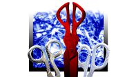 Nabis scissor