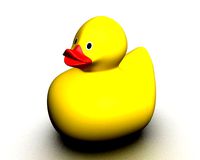 rubber duck