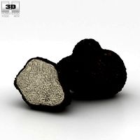 Truffle