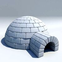 Igloo