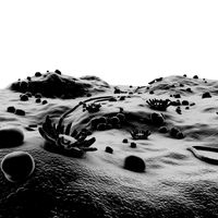 Microscopic Environment