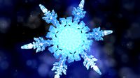 Snowflake Growth Animated 3d Model And Obj Sequence