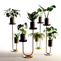 Cigales Plant Stands