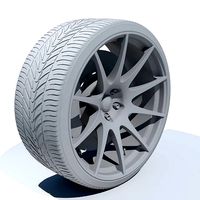 Car wheel disk tire brake caliper and brake disk