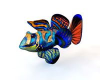 Mandarin Dragonet Goby Fish