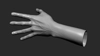 Hand model and sculpt