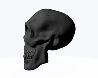 skull