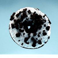 Frosty Chocolate Donut