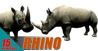 African Rhino