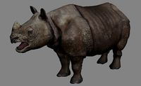 Rhino Realistic Animal