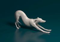 Whippet dog | 3D