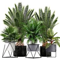Collection of ornamental plants and Exotic plants