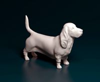 Basset hound | 3D