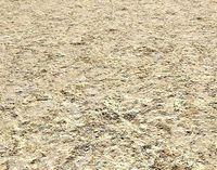 Arid desert terrain seamless 14 PB