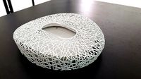 Beijing national stadium birds nest | 3D