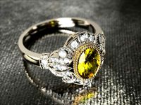 Ring 0235 | 3D