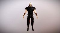 Knight warrior
