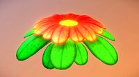 Ashoo Flower