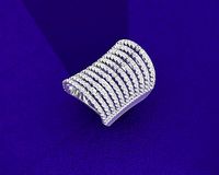 Ring Spical Fancy Style | 3D