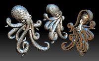 octopus | 3D