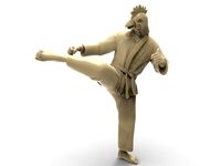 Chicken Roundhouse Kick | 3D