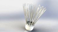 Shuttlecock