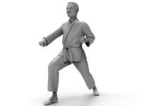 Karate Zenkutsu Dachi Stance | 3D