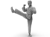karate Front kick | 3D