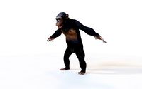Chimpanzee Rigged