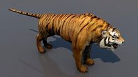 Lion-tiger