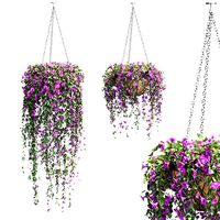 Petunias set in pots - 2 models