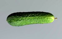 Cucumber 3D Scan