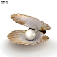 Seashell with Pearl