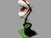 Carnivorous Plant