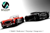 Austin Healey Collection