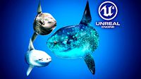 Ocean Sunfish Pack - UE4