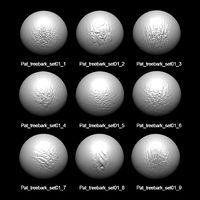 Zbrush Alpha Tree Bark Set0